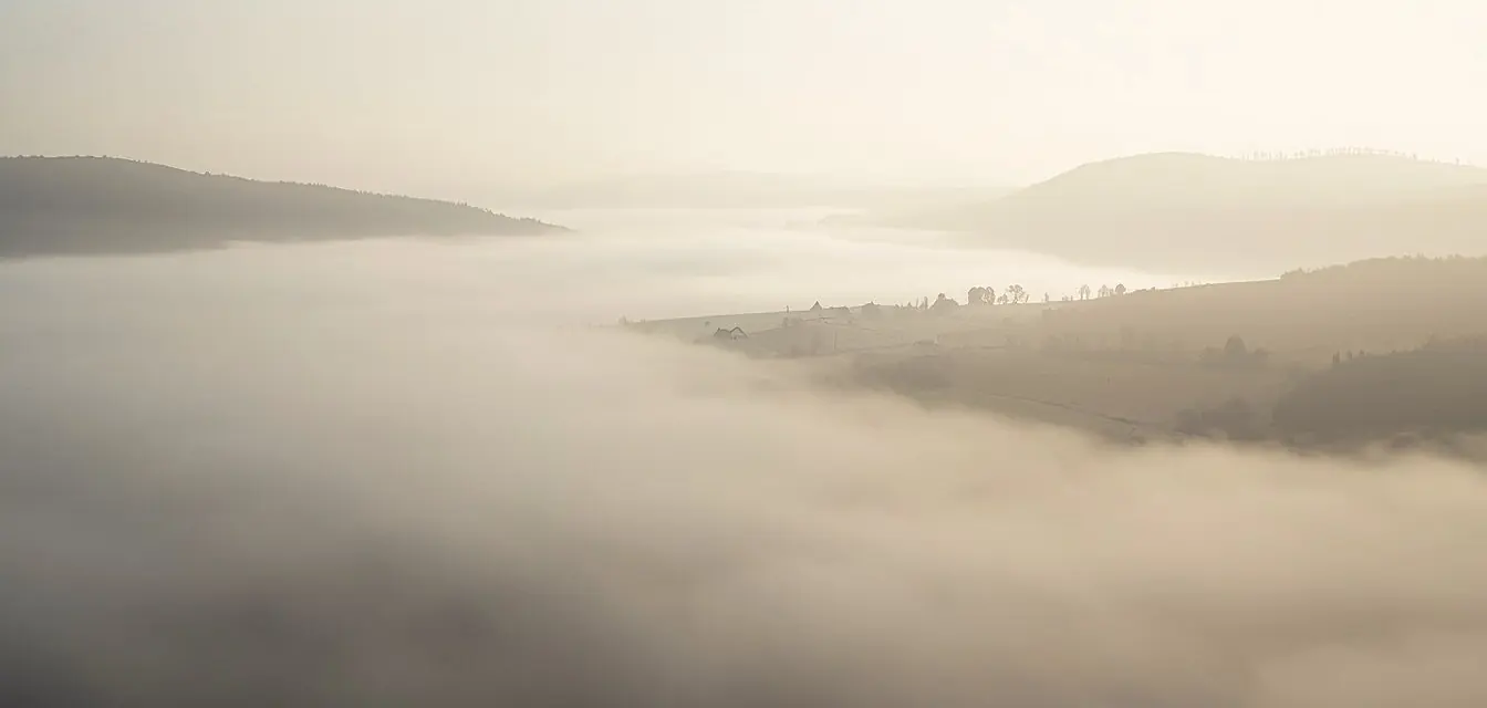 Nebellandschaft im Morgenlicht, durch die ein Weg führt